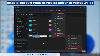 How to Show Hidden Files on Windows 11 File Explorer