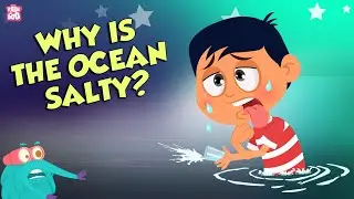 Why Is Ocean Water Salty? | Earths Ocean | Dr Binocs Show | Peekaboo Kidz