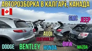 #270.  Авторозборка Bentley, Honda, BMW, Chevrolet, Dodge, Audi, Jeep, Toyota…