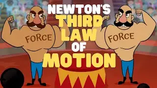 Newtons Third Law of Motion | Newtons Laws of Motion | Video for Kids