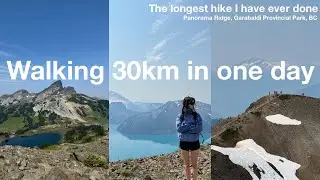 30km hike to Panorama Ridge: The longest hike I have ever done