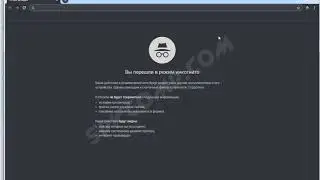 Режим инкогнито или приватный режим в браузере Chromium.
