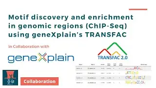 Motif discovery and enrichment in genomic regions (ChIP-Seq) using TRANSFAC