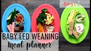 Easy Baby Led Weaning Meal Planner for Babies & Toddlers | Breakfast, Lunch & Dinner Menu