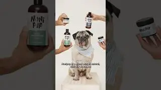 DOUG HAS AN ANNOUNCEMENT! His new dog wellness company, Nonipup, is out now! www.Nonipup.com