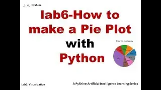 Pie chart in Python