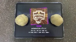 【Project Sekai】 Playing Becoming Potatoes with potatoes