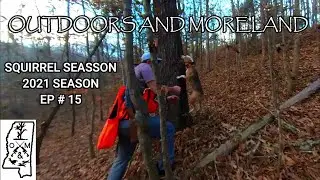 14 month old Squirrel hunting with dogs 2021 (kill shot!) 2021 Squirrel Season EP. # 15