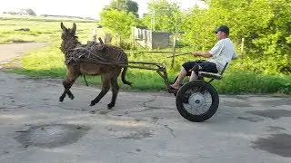 Испытание самодельной двуколки для покатушек