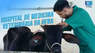 Hospital de Medicina Veterinária da UFBA