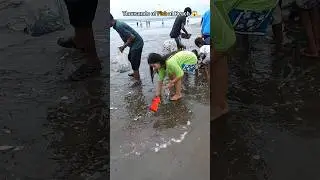 Nature’s wonder: Thousands of fish at beach 😱