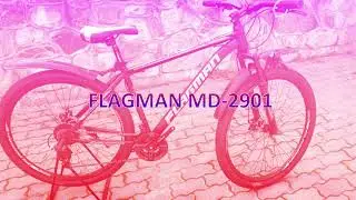 FLAGMAN MD 2901