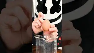 Viral Egg Hack #shorts #marshmello #egg