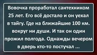 Сантехник Вовочка Уехал в Тайгу! Сборник Анекдотов Синего Предела №182