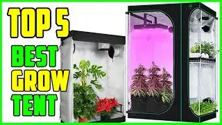 TOP 5 Best Grow Tent Reviews 2023 | Top Indoor Grow Tent