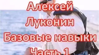 Алексей Луконин Базовые навыки часть 1 Диагностика