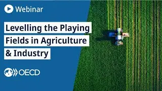 Levelling the Playing Fields in Agriculture & Industry – Latin America & the Caribbean