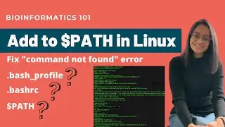 Add to PATH in Linux - Fix command not found error | Linux Basics