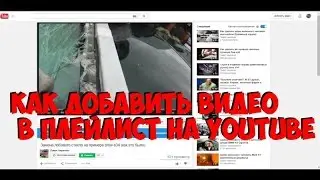 Как добавить видео в плейлист на youtube