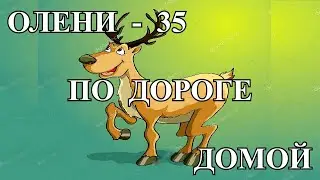 Олени-35 - По дороге домой...