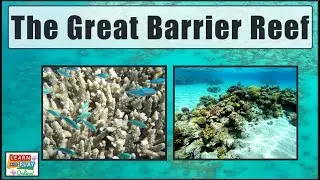 The Great Barrier Reef for Kids!