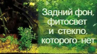 Задний фон, фитосвет и стекло, которого нет...