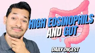 What Is Correlation Between High Eosinophils And Gut?