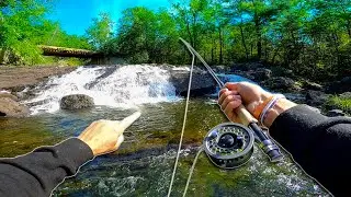 FLY FISHING Mountain Streams in BACKWOODS of Maine