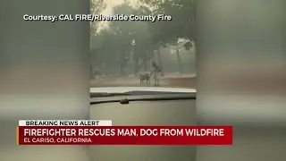 California firefighter rescues dog from wildfire