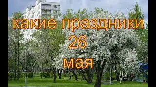 какой сегодня праздник? \ 26 мая \ праздник каждый день \ праздник к нам приходит \ есть повод