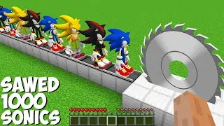 What if you SAWED ALL SONIC in Minecraft ? SHADOW SONIC, SUPER SONIC and SONIC SUPER TRAP !