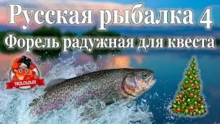 Русская рыбалка 4 Форель радужная для новогоднего квеста