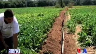 Amerikada qurgoqchilik, Arkanzas shtati/Arkansas Drought