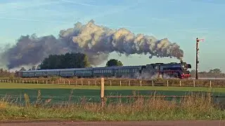 Langer Personenzug in der Börde - 41 1114-9 um Haldensleben unterwegs