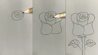 How to Draw a ROSE Easy Using Pencil