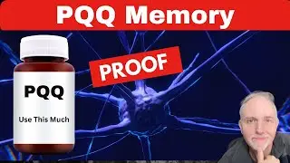 Can PQQ Improve Memory? The Facts