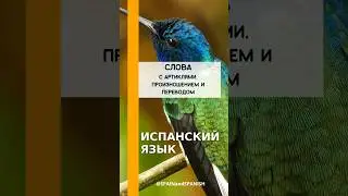 Сладкие ягоды и долгие дни: Еженедельная доза испанских слов! 