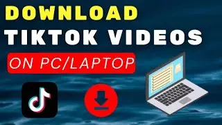 How to Download TikTok Videos on PC, Laptop, & Chromebook