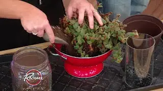 Backyard Hack: How To Make A Hanging Planter Out Of A Colander