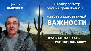 #9. Чувство Собственной Важности / Что это? Враг или друг?