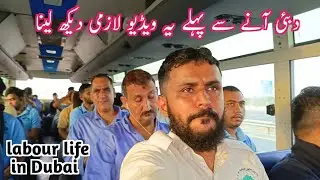 labour life in Dubai| The dark side of Dubai- Dubai Labour Camp #dailyvlogs #zamzamelectronics