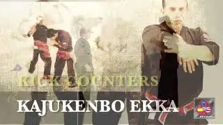 Kajukenbo EKKA Intermediate Vol.1