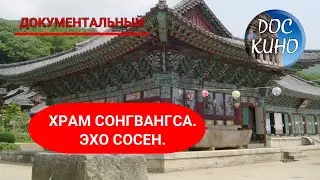 🎭ХРАМ СОНГВАНГСА. ЭХО СОСЕН.🌎 ДОКУМЕНТАЛЬНОЕ КИНО 🎆 2020