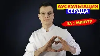 Аускультация сердца за 1 минуту | Точки аускультации сердца