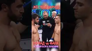 ЧИСТО ПАЦАНСКАЯ ДРАКА👊🏻ФАРИД ЯДУЛЛАЕВ vs МУРАД ЛЕГЕНДА #shorts #popmma #mma