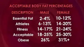 How to Measure Your Body Fat Percentage at Home