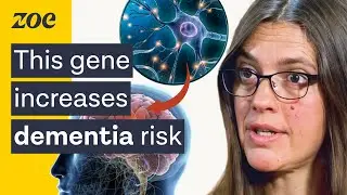 Is dementia caused by genetics? | Prof. Claire Steves