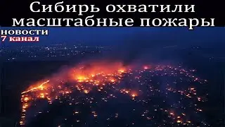 Сибирь охватили масштабные пожары, раньше времени.