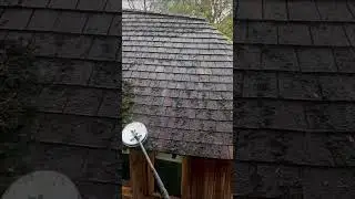 Mossy Roof Cleaning Transformation on a Treehouse! #satisfying #jetwashing #clean #pressurewashing