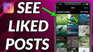 How To See Liked Posts On Instagram